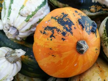 High angle view of pumpkins on wood