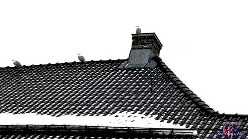 Low angle view of roof against clear sky