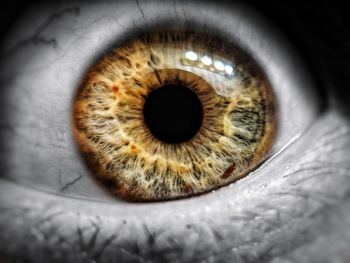 Close-up of human eye