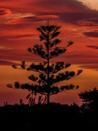 Silhouette tree on field against romantic sky at sunset
