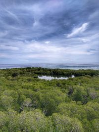 Scenic view of sea against sky