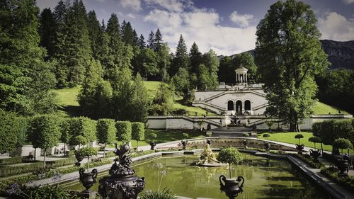 High angle view of plants and trees against sky