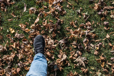 Low section of man standing on grass