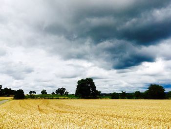 Scenic view of field against cloudy sky