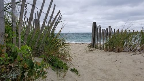 Scenic view of beach against sky