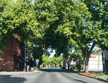 Street amidst trees and plants in city