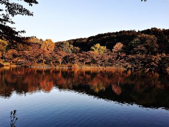 Scenic view of lake against clear sky during autumn