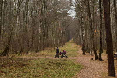 People riding horses in forest