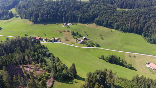 High angle view of trees on landscape