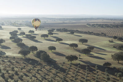 Hot air balloons on field against sky