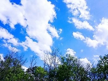 Low angle view of trees against blue sky