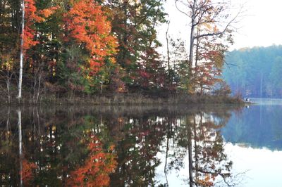 reflection