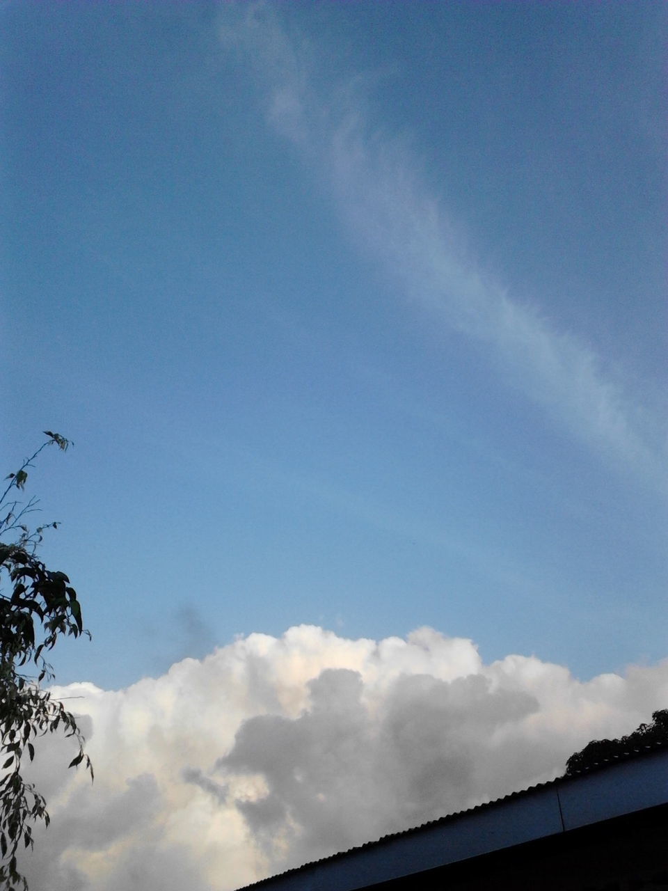 low angle view, sky, cloud - sky, blue, cloud, silhouette, high section, nature, cloudy, beauty in nature, outdoors, day, no people, built structure, scenics, tranquility, bird, copy space, architecture, flying