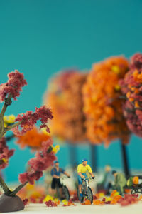 Close-up of yellow flowering plant against blue sky