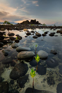 Scenic view of sea against sky during sunset