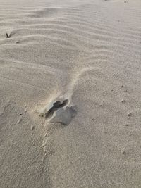 High angle view of footprints on sand at beach