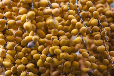 Full frame shot of oranges