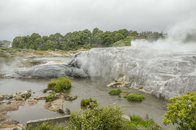 Scenery around the geothermal valley te puia in new zealand