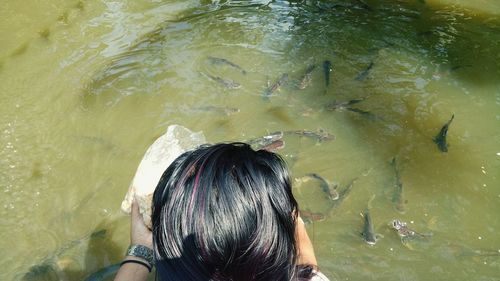 Rear view of woman swimming in water