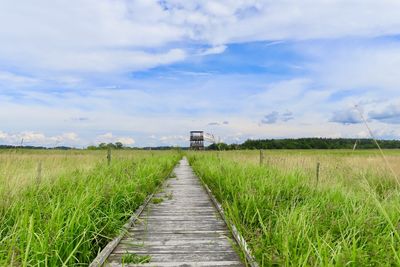 Dirt road leading towards agricultural field against sky