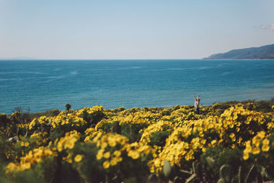Scenic view of sea against clear sky