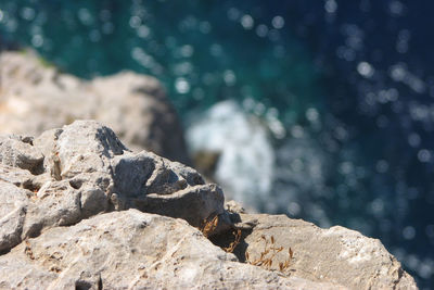 Close-up of rocks on beach