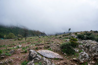 Scenic view of landscape against sky