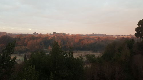 High angle view of trees on landscape against sky