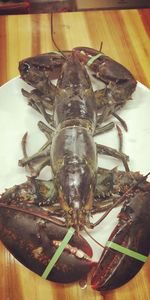 High angle view of crab on table