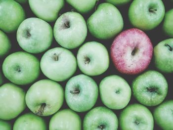 Full frame shot of apples