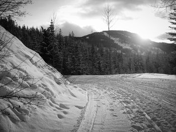 Tire tracks on snow covered landscape