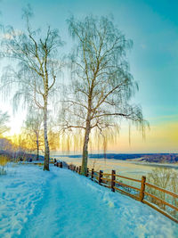 Bare tree on snow covered field against sky during sunset