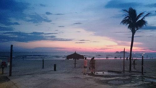 Palm trees on beach