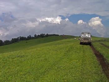 Scenic view of grassy field against sky