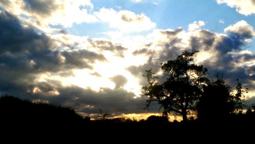 Silhouette trees against sky during sunset