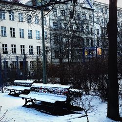 Snow covered trees in winter
