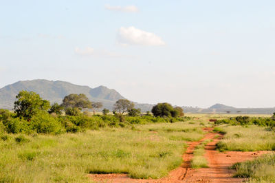 Scenic view of field and mountains against sky