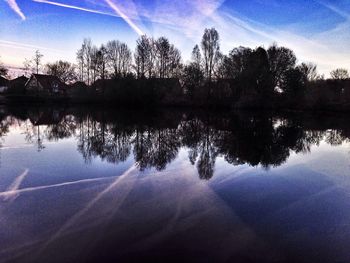 Reflection of trees in calm lake