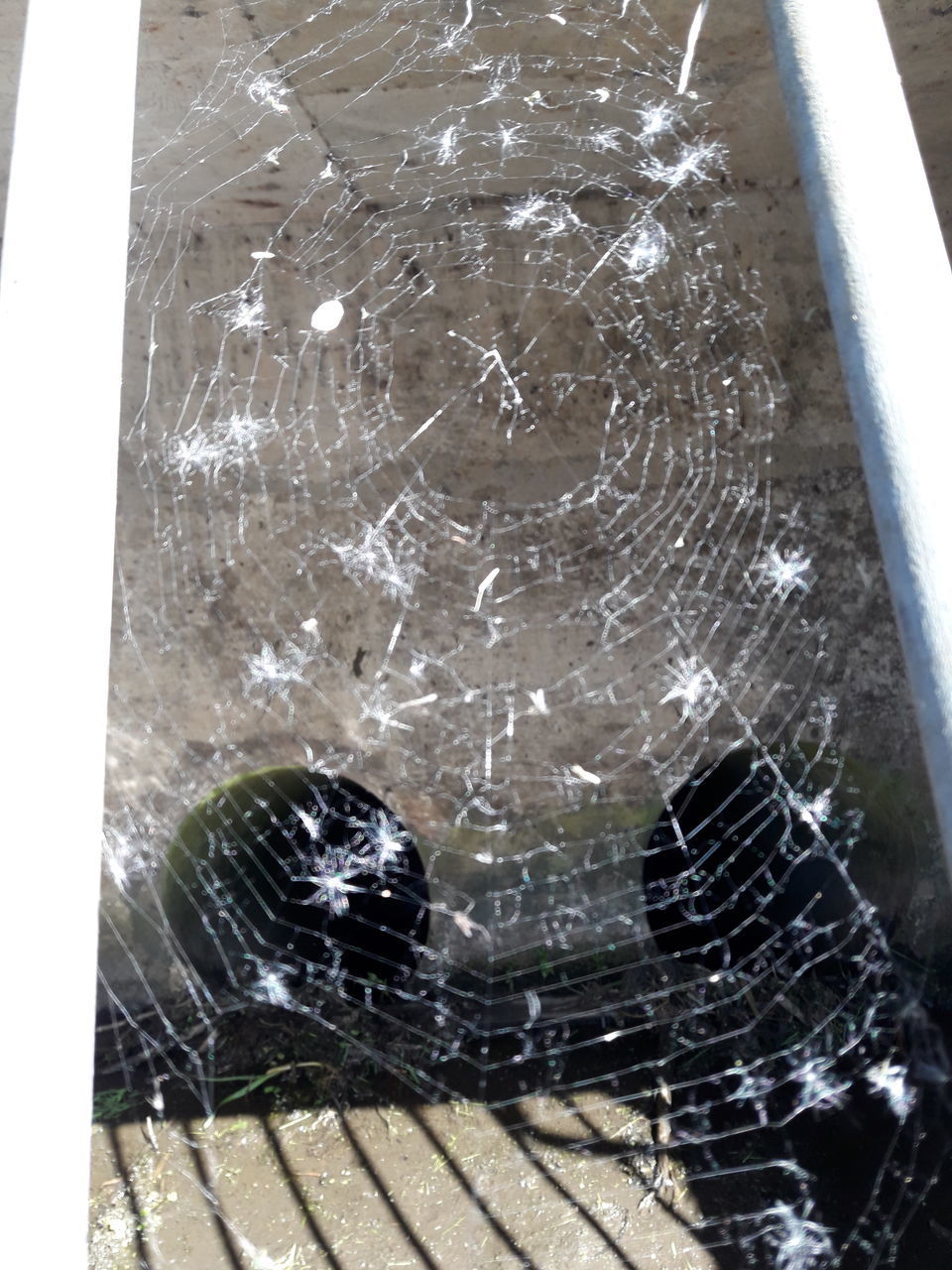 HIGH ANGLE VIEW OF BROKEN SPIDER WEB ON WINDOW
