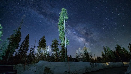 Scenic view of trees against sky at night