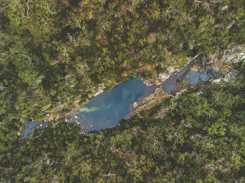 High angle view of lake amidst trees