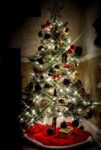 Christmas lights hanging on tree