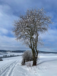 Tree on snow covered field against sky