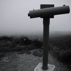 View of tree against sky