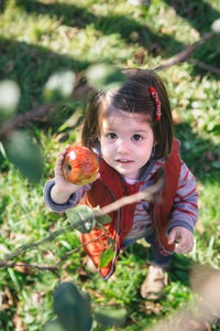 High angle portrait of girl holding apple on field