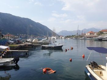 Sailboats moored at harbor against sky