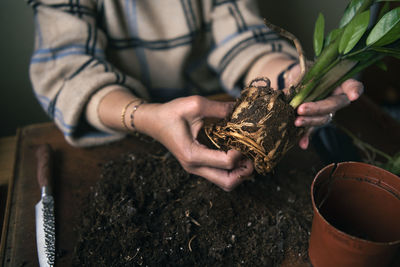 Woman planting potted plants at home