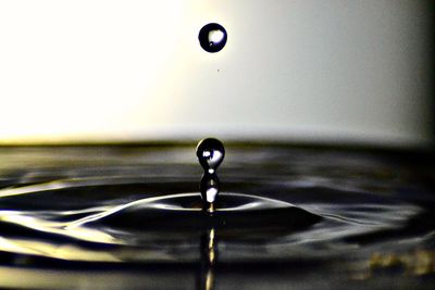 Close-up of drop on water