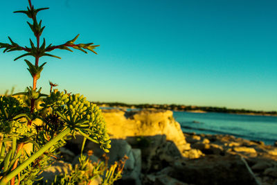 Scenic view of sea against clear blue sky