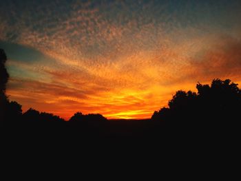 Silhouette trees against sky at sunset